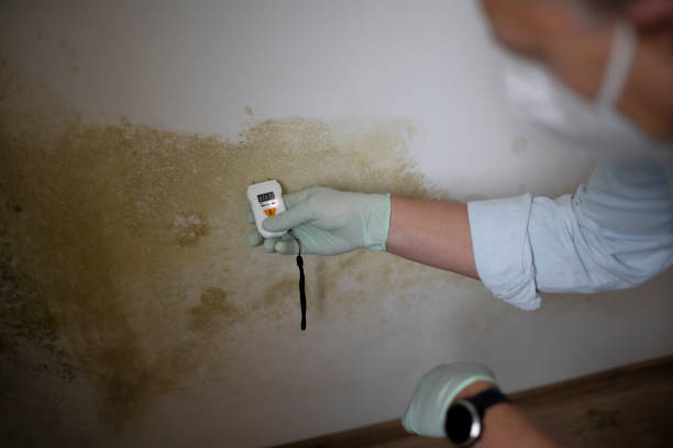 Forensic Mold Investigation in Greencastle, PA